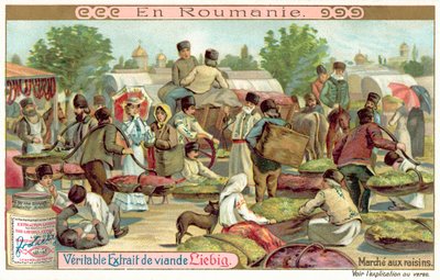 Druivenmarkt, Roemenië door European School