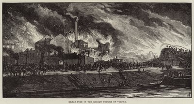 Grote brand in de Rossau-wijk van Wenen (gravure) door European School