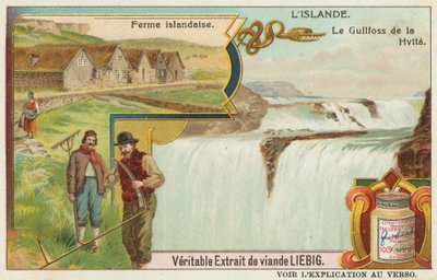 Een IJslandse boerderij en de Gullfoss (Gouden Waterval) op de Hvita door European School