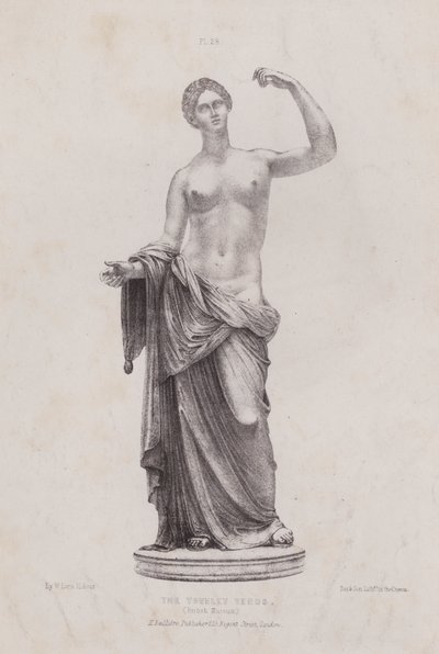 Illustratie voor De Anatomie van de Externe Vormen van de Mens: De Townley Venus, British Museum door European School