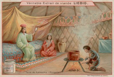Binnen in een Tent in Mongolië door European School