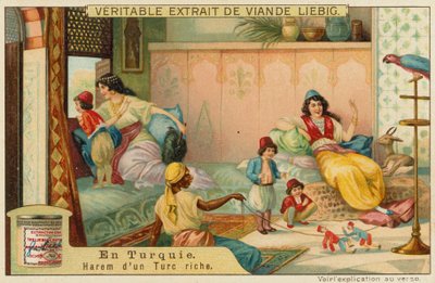 Binnen in de harem van een rijke Turk door European School