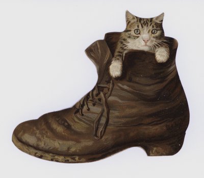Kitten in een laars door European School