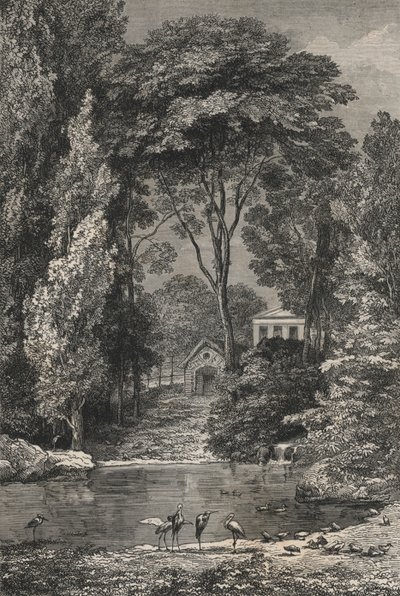 La Vallee Suisse in de Jardin Des Plantes van Parijs (gravure) door European School