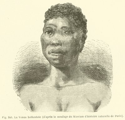 De Venus hottentot, volgens de mal van het Museum voor Natuurgeschiedenis van Parijs door European School