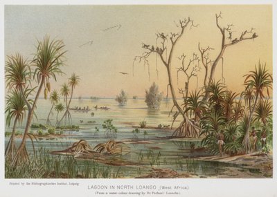 Lagune in Noord-Loango, West-Afrika door European School