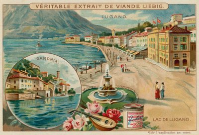 Meer van Lugano door European School