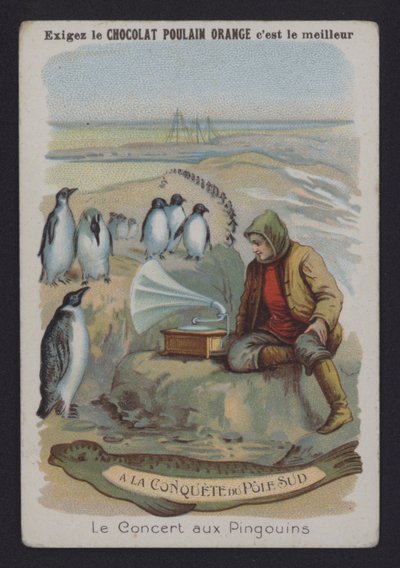 Het Concert bij de Pinguïns door European School