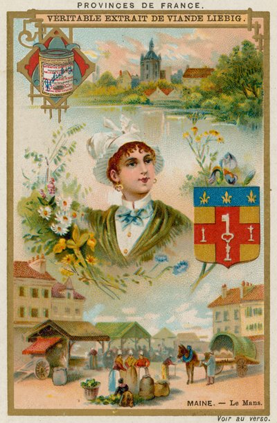Le Maine door European School