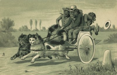 Apen die een koets trekken, getrokken door twee katten door European School