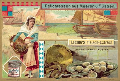 Mosselen en oesters door European School