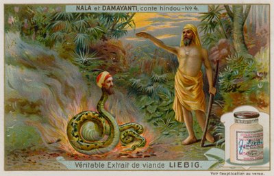 Nala redt de slang Naga Karkotaka door European School