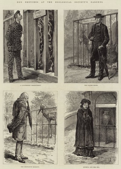 Vreemde schetsen in de tuinen van de Zoological Society (gravure) door European School