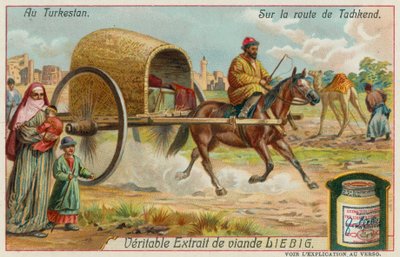 Op weg naar Tasjkent in Oezbekistan door European School