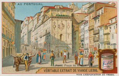 Oporto, Praca da Ribeira door European School