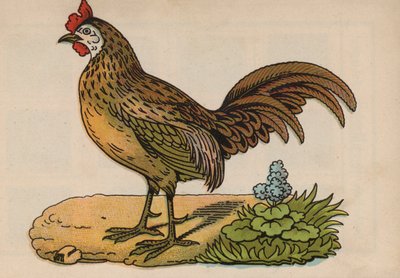 Pagina uit het magische boek (kleur litho) door European School
