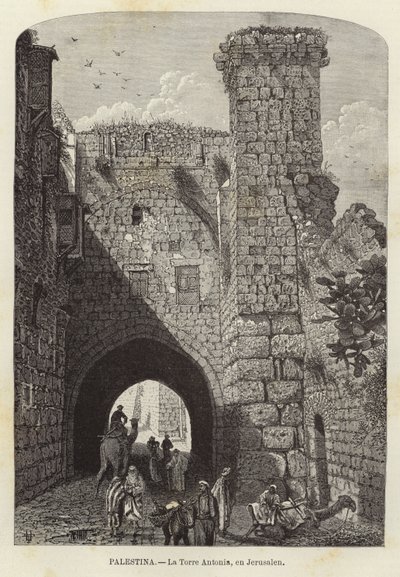 Palestina, De Antonia Toren in Jeruzalem door European School