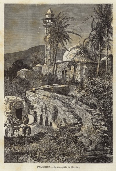 Palestina, De moskee van Djenim door European School