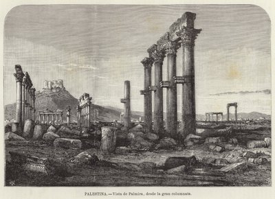 Palestina, Uitzicht op Palmyra vanaf de grote colonnade door European School