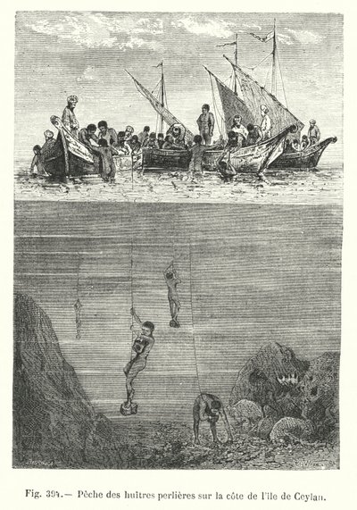 Parelvisserij op de kust van het eiland Ceylon (gravure) door European School