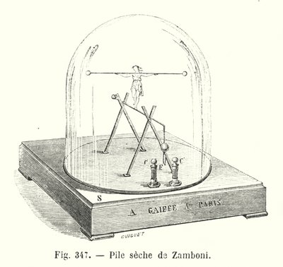Zamboni