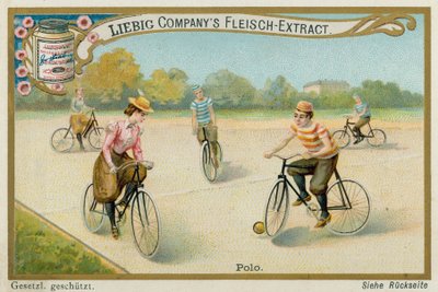 Polo door European School