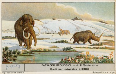 Prehistorische wereld, Liebig-kaart, begin 20e eeuw (chromo) door European School
