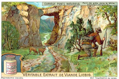 Zandstenen brug in de White Canyon, Virginia door European School