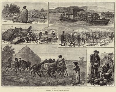 Schetsen van het boerenleven in Hongarije (gravure) door European School