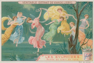 Sylfen Dansen in het Maanlicht door European School