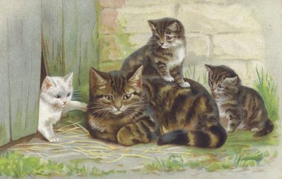 Tabby poes met drie kittens (chromolitho) door European School