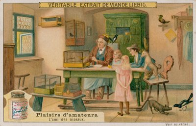De amateur vogelaar door European School
