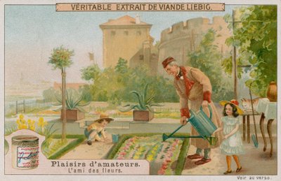 De amateur tuinier door European School
