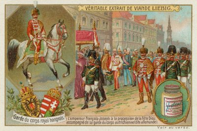 De lijfwacht van de keizer van Hongarije door European School