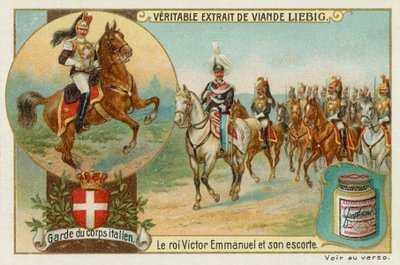 De lijfwacht van de Italiaanse koning door European School