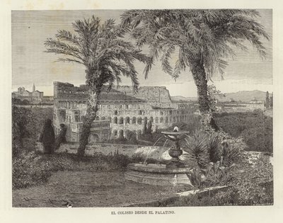 Het Colosseum vanaf de Palatijn door European School