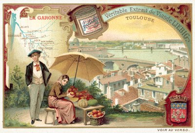 De Garonne en een uitzicht op Toulouse door European School