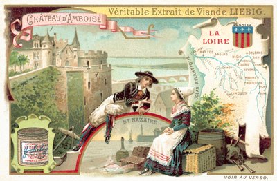 De Loire en een uitzicht op het kasteel van Amboise door European School