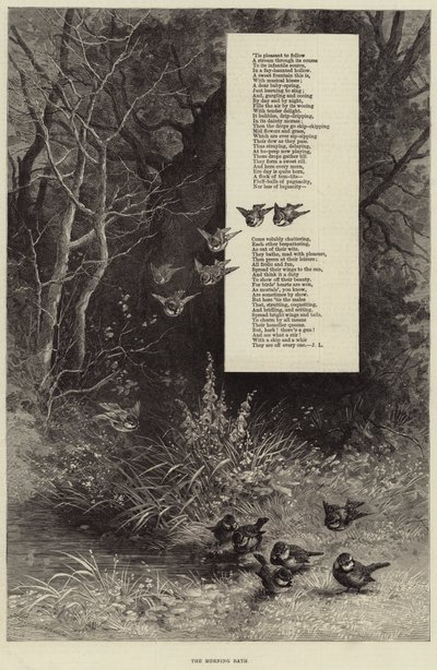 Het ochtendbad (gravure) door European School