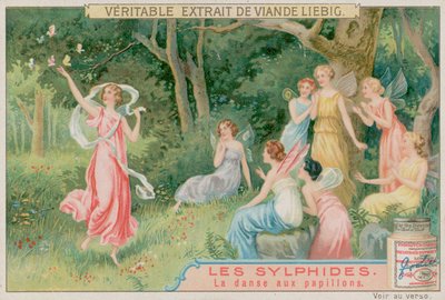 De Sylfen Dansen met Vlinders door European School