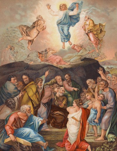 De Transfiguratie door European School
