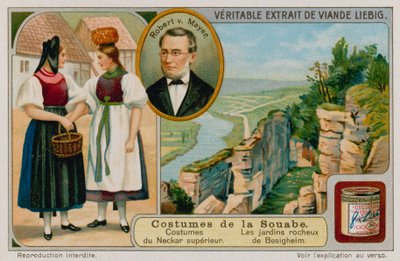 De kleding van de Boven-Neckar rivier, Julius Robert von Mayer en de rotstuinen van Besigheim door European School