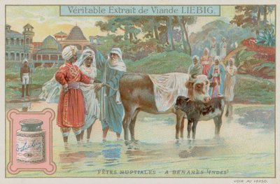 Varanasi huwelijksgebruiken door European School