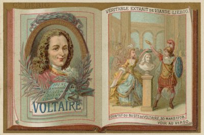 Voltaire door European School