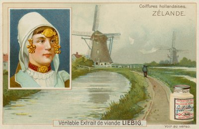 Zeeland door European School
