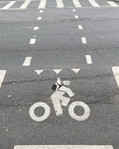 Fietsstrook bewegwijzering op straat (digitale kunst) door Evan Sklar