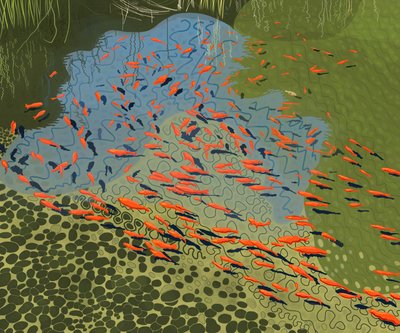 Koeienvijver bij botanische tuin (digitale kunst) door Evan Sklar