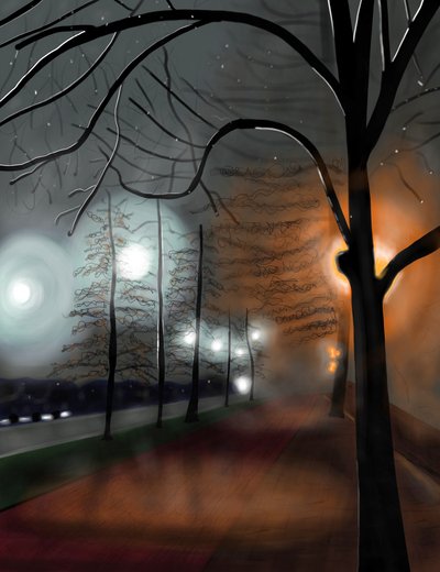 Mist bij nacht, Prospect Park, Brooklyn (digitale kunst) door Evan Sklar