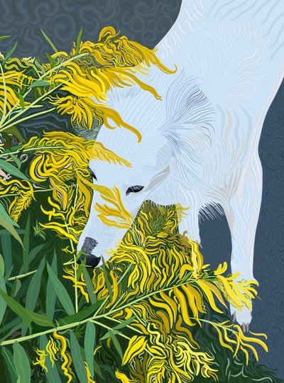 Goatdbeard Witte hond en guldenroede (digitale kunst) door Evan Sklar