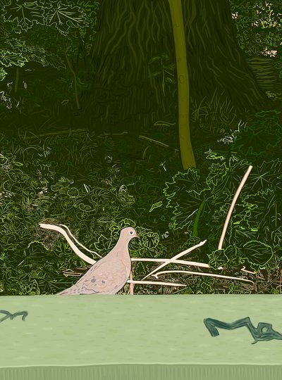Rouwduif op muur van Prospect Park, c.2020-24 (digitale kunst) door Evan Sklar